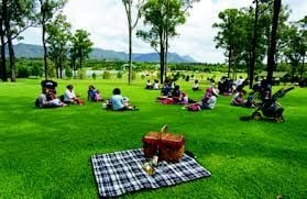 Hunter Valley Vineyard Group Bus Trips Image -593b1ea3af232